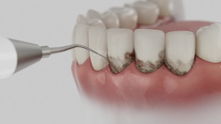 Reliable Dental contractor in San Mateo, CA by Dentist Open Now